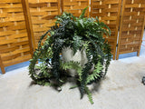 Napa Home & Garden, Inc Vase with Faux Fern