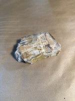 (A) Petrified Wood With Felt