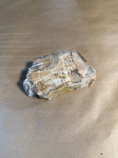 (A) Petrified Wood With Felt
