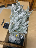 5 ft. LED Flocked Alpine Tree, Open Box