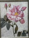 Pink Rose Print (see description)