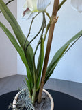Faux White Orchids in Crackled Cream Ceramic Planter