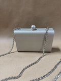 Small Silver Metal Formal Clutch