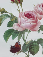 Rose Botanical with Moth Print