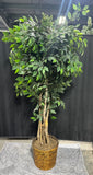 6.5FT Artificial Ficus Tree in Basket Planter