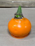 LIVE Amaryllis Bulb Encapsulated in Wax