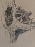 Raccoon & Owls Print by Peter Parnell; Signed & Numbered (217/1500)