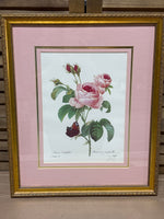 Rose Botanical with Moth Print
