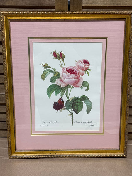 Rose Botanical with Moth Print
