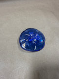 (A) Blue Sand Dollar Paperweight