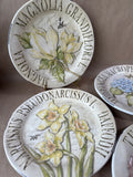 Pottery Barn Flower Salad Plates - Set Of 4