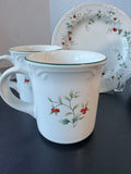 9-Piece Pfaltzgraff Winterberry China Set