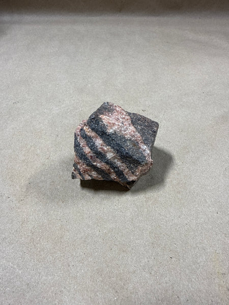 (Z) Striped Gnesis Specimen