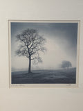 In Just Spring Print by Richard Calvo; Signed