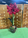 Faux Red Amaryllis Flowers in Ceramic Pot (C)