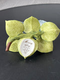 Lenox Porcelain Morning Glories