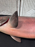 Chinook King Salmon Taxidermy Mount AS IS (READ DESCRIPTION CAREFULLY)
