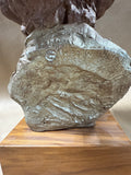 Mardo Bronze Clown Bust On Wood Base