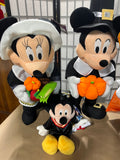 Mickey & Minnie Mouse Assorted Holiday Decor, C, 6 pc