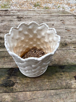 Ceramic Basket Weave Planter W/Scalloped Rim