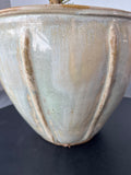LIVE Ficus (Coming Back To Life) in Ceramic Pot