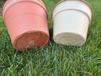 Two Plastic Planters