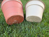 Two Plastic Planters