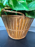 Artificial Greenery in Basket Planter