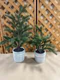 Pair of Faux Christmas Trees in Ceramic Pots, 16"H and 21"H
