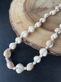 Long Seashell Necklace