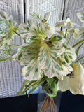 XL Cream & Green Faux Floral Arrangement in Glass Vase