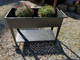 Raised Garden Bed on Wheels w/Two Plants