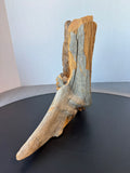 Artist Signed Hand Carved Grizzly Bear on Wooden Stump