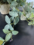 Artificial Cascading Fittonia Leaf Plant in Textured Paper Mache Pot