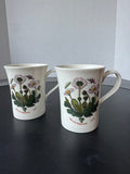 Pair of Daisy & Pansy Portmeirion Garden Botanic Flared Coffee Mugs