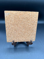Cats Backside Series Cork Tile // 2 Available // *** PRICED INDIVIDUALLY ***