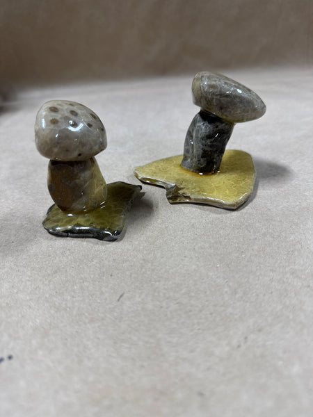 Pair Of Petosky Stone Mushrooms