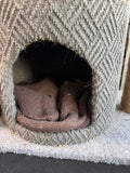 EveryYay Lookout Loft 4-Level Cat Tree with Hideaway with Toy