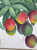 Watercolor of Ripe Mangoes by Noriko Crum; Signed