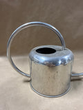 Stainless Steel Watering Can