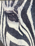 Zebra Print by Patricia Hunter; Signed