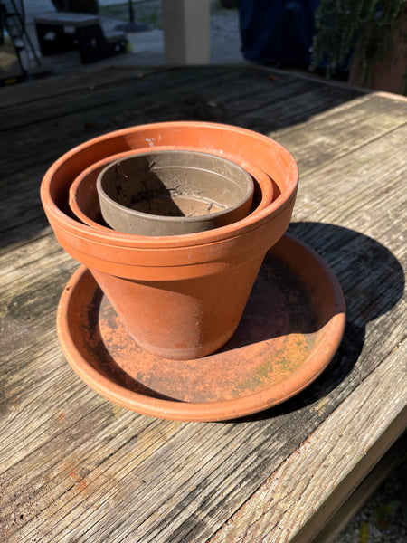 Terracotta Pots (3) and Saucer