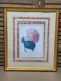 Pink Hydrangea Botanical Print (AS IS)
