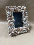 Seashell Picture Frame