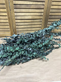 Bunch of Eucalyptus