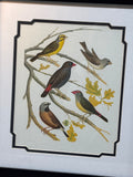 Pair of Bird Prints