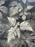 Ansel Adams “The Print” Poster (see description)