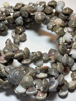 Snail Shell Necklace - TWO AVAILABLE PRICED INDIVIDUALLY $10 EA