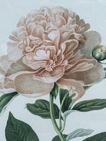 (B) Botanical Print