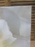 White Peony Canvas Print (A)